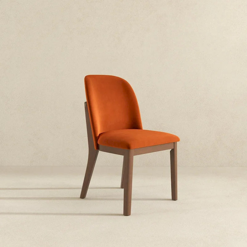Chaise de salle à manger (lot de 2)