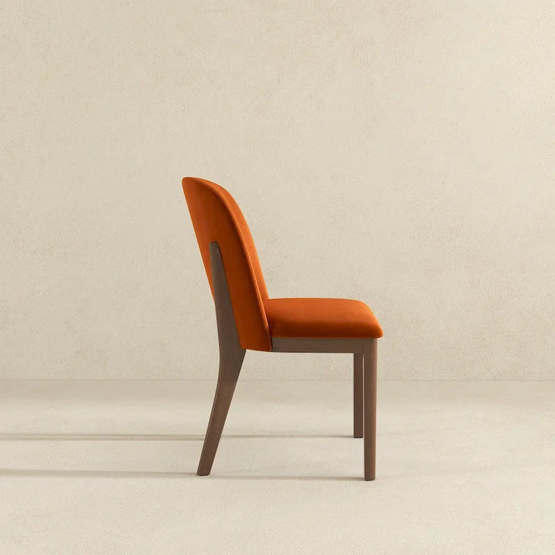 Chaise de salle à manger (lot de 2)